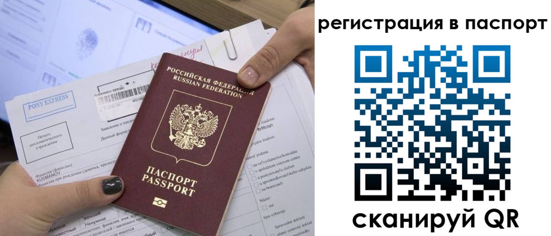 прописка паспорт в Нововоронеже